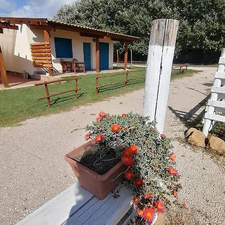 Agriturismo Oca Giuliva Лидо-дей-Пини Экстерьер фото