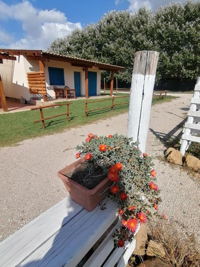 Agriturismo Oca Giuliva Лидо-дей-Пини Экстерьер фото